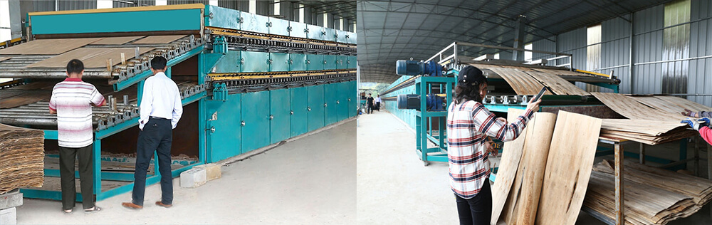 單板嘿嘿视频在线观看