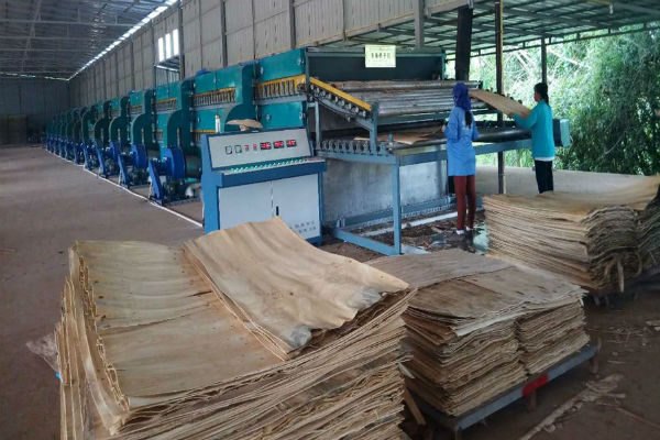 單板嘿嘿视频在线观看生產線