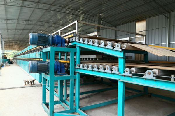 木皮嘿嘿视频在线观看