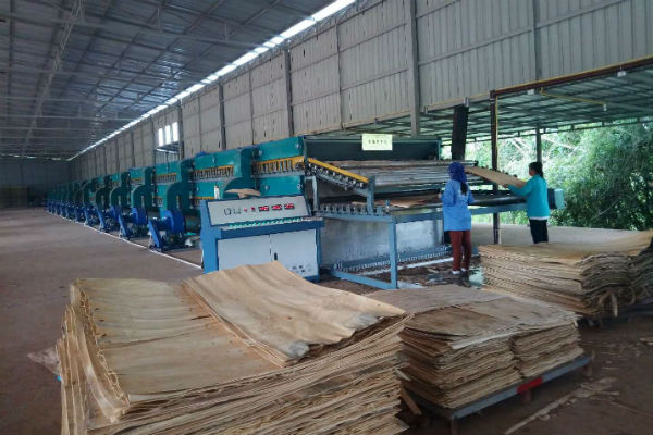 四層單板嘿嘿视频在线观看