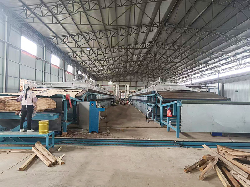 木皮嘿嘿视频黄片